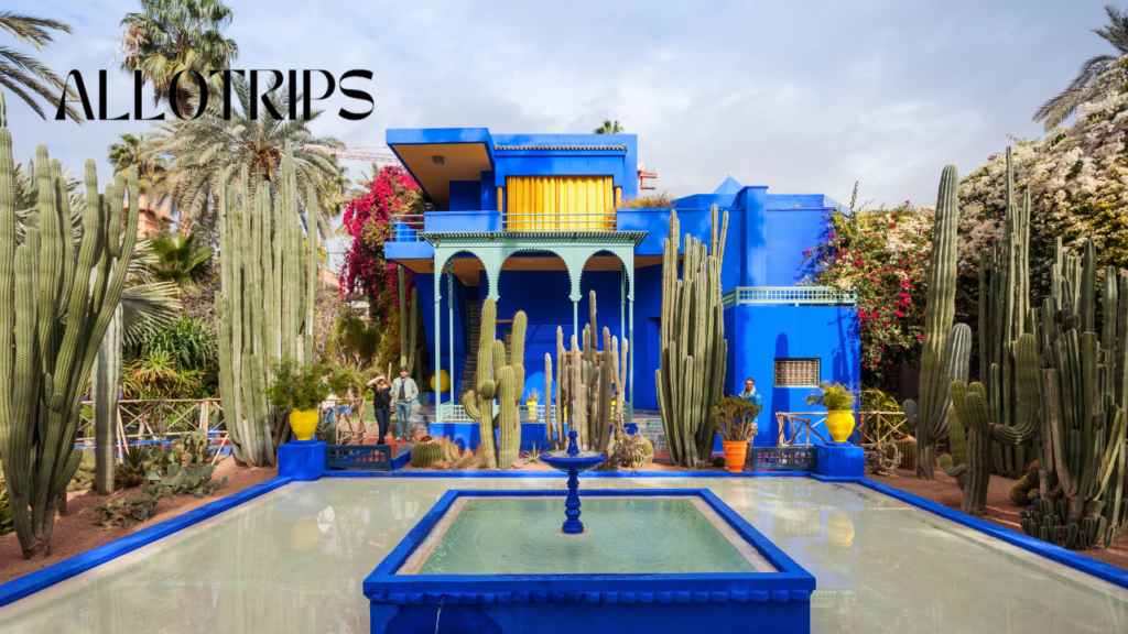 Majorelle Garden What to Do in Marrakech